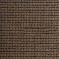 Ковровое покрытие Jabo-carpets Wool 1425-540