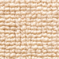 Ковровое покрытие Jabo-carpets Wool 1625-025