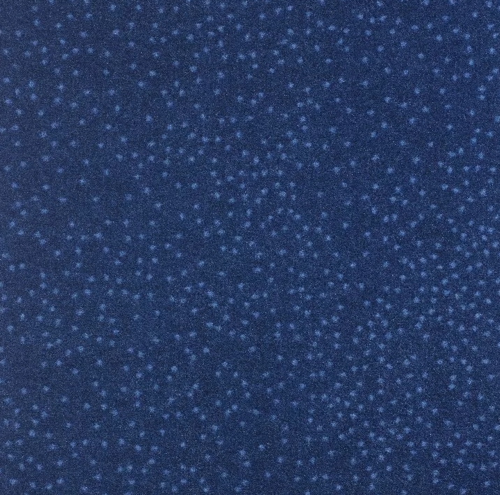 Ковровое покрытие Balsan Design Concept Constellation 180 VENUS