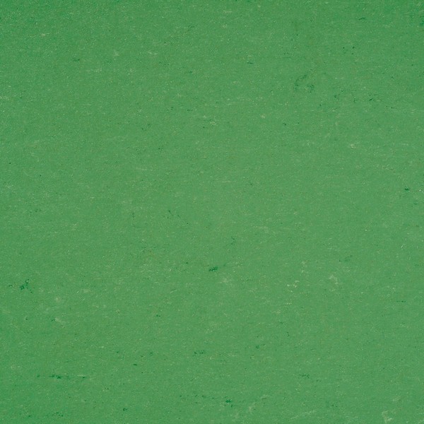 Натуральный линолеум Armstrong Colorette LPX 131-006 (2,5 мм)