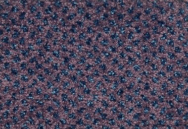 Ковровое покрытие Fletco Spectrum Dot 438650